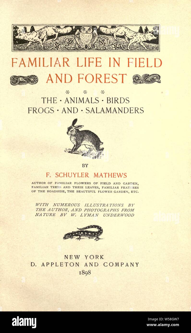Conoce la vida en el campo y bosque; los animales, aves, ranas y salamandras : Mathews, F. Schuyler Schuyler (Fernando), 1854-1938 Foto de stock