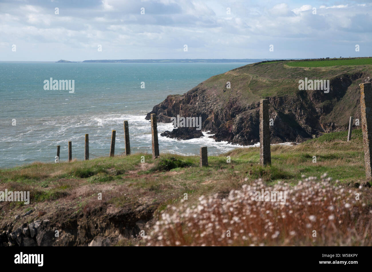 Los acantilados rocosos de la costa de Irlanda, cubierto con flores y una valla antigua Foto de stock