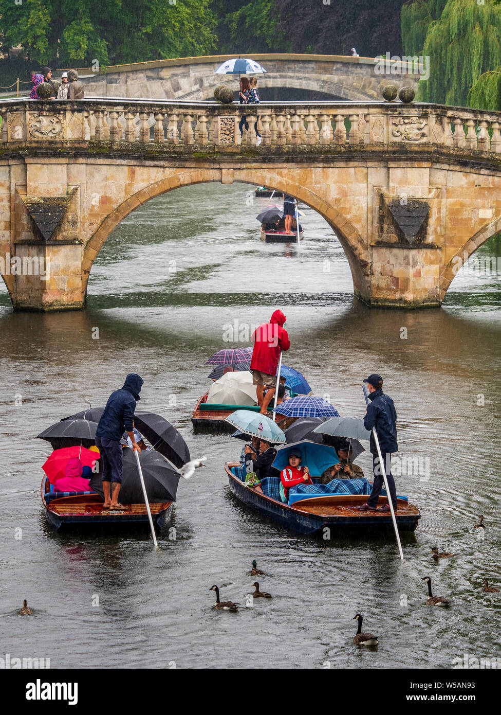 Remar en la lluvia Cambridge patos y gansos siga punts lleno de turistas refugiarse bajo un paraguas durante las fuertes lluvias en Cambridge, Reino Unido Foto de stock