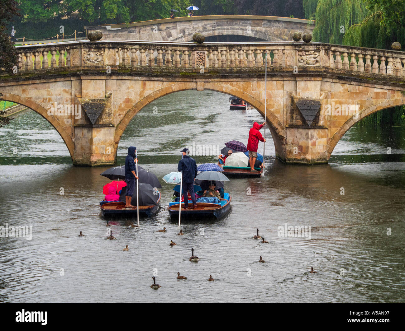 Remar en la lluvia Cambridge patos y gansos siga punts lleno de turistas refugiarse bajo un paraguas durante las fuertes lluvias en Cambridge, Reino Unido Foto de stock