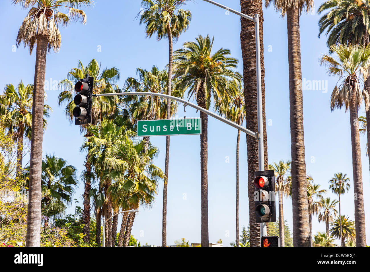 Sunset Bl. Los Ángeles, California, Estados Unidos. Texto de señal verde, los semáforos, las palmeras y el cielo azul de fondo. Jornada soleada de primavera. Foto de stock