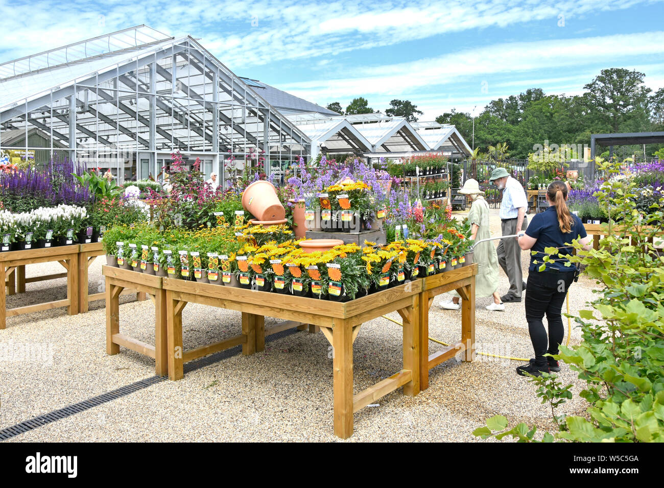 RHS Wisley personal regar las plantas para su venta en el exterior en la parte delantera de la tienda minorista de invernadero moderno en el Royal Horticultural Society Gardens Surrey, Inglaterra Foto de stock