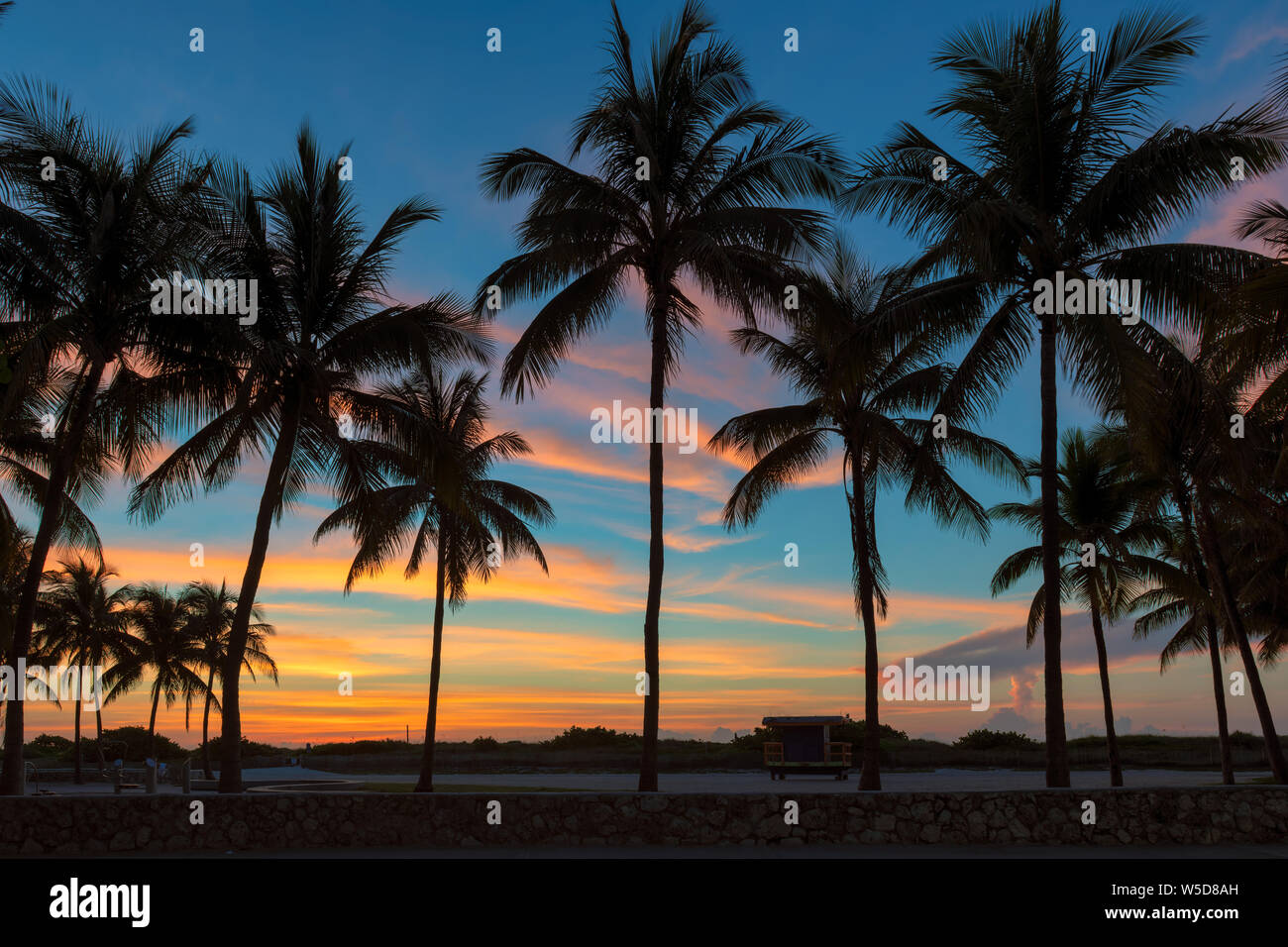 Palmeras en Miami Beach al amanecer en Ocean Drive, South Beach, Florida Foto de stock