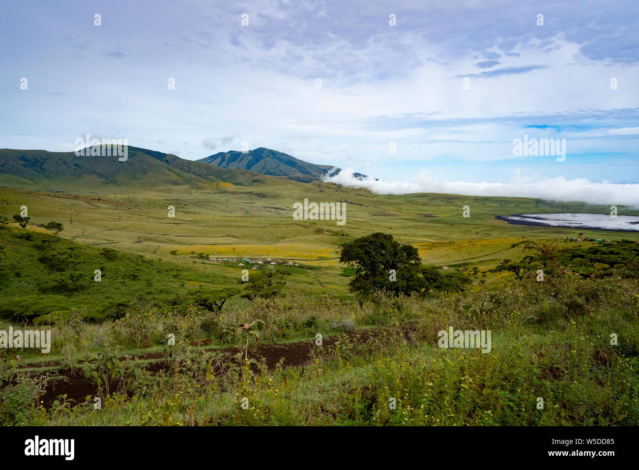 En el Área de Conservación de Ngorongoro, Tanzania. Vista del cráter Foto de stock
