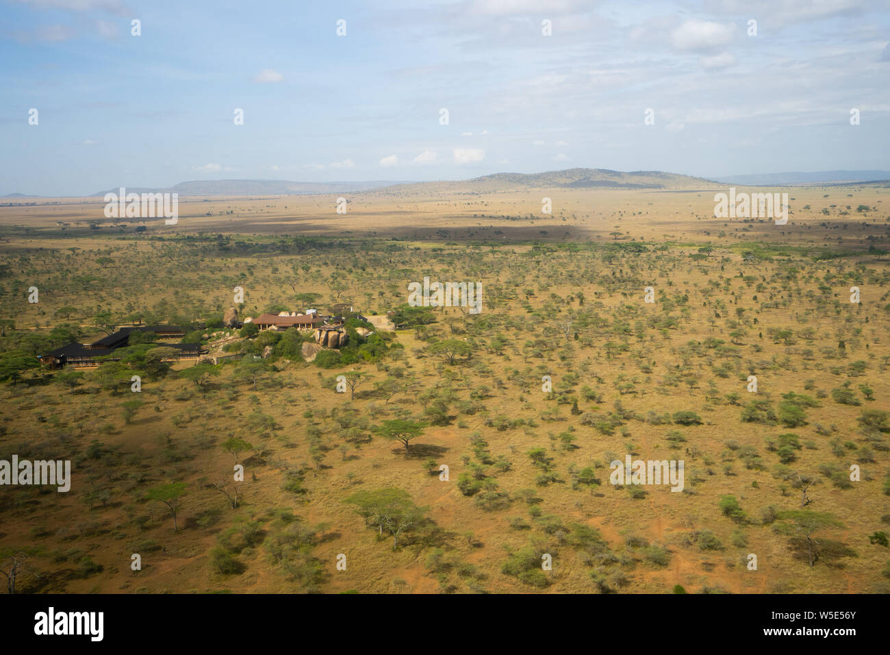 La fotografía aérea de los pastizales en el Parque nacional Serengeti, Tanzania Foto de stock