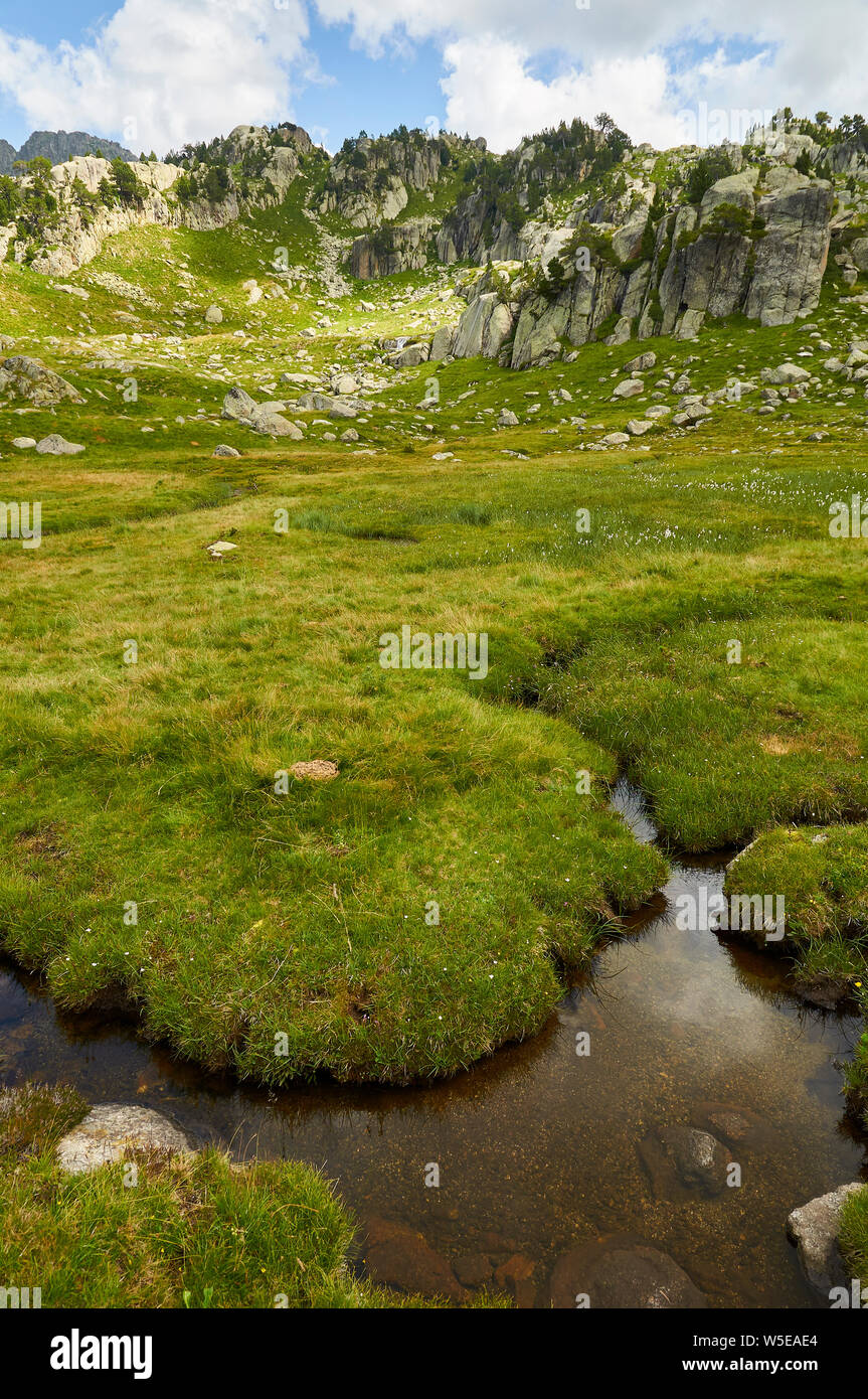 Los humedales y turberas en Parque Nacional de Aigüestortes i Estany de Sant Maurici (valle de Arán, Lleida, Pirineos, Cataluña, España) Foto de stock