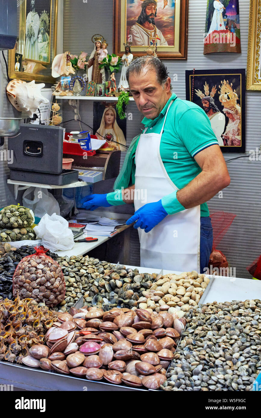 Los magníficos Pescados y el mercado del papel en Málaga, Andalucía, España Foto de stock