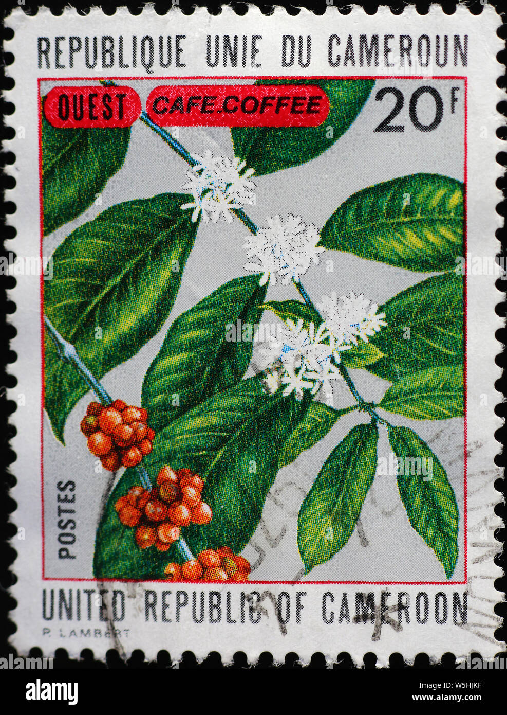 La planta de café en sello de Camerún Foto de stock