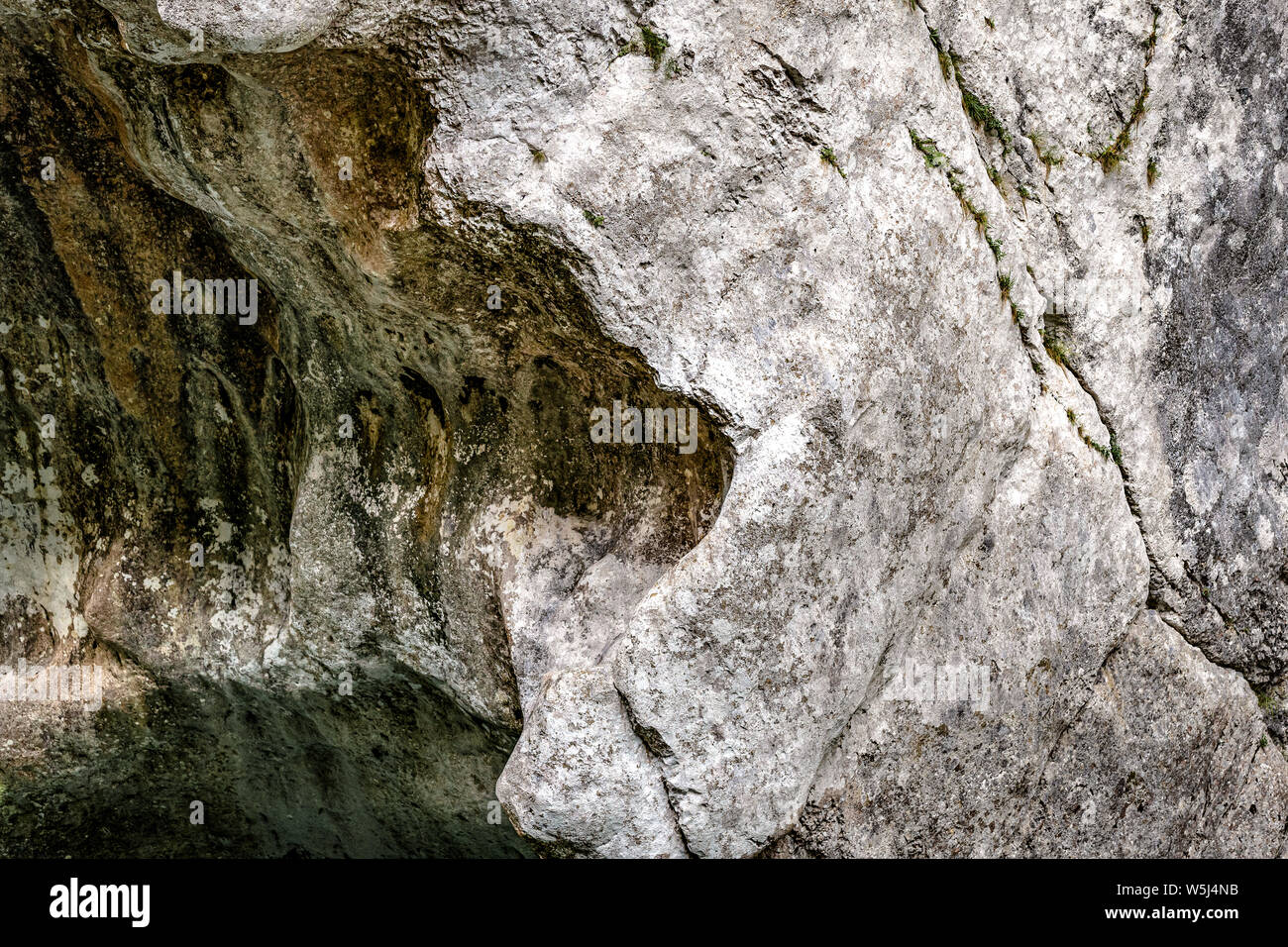 Italia Friuli Reserva Natural el torrent Cellina forraof Foto de stock