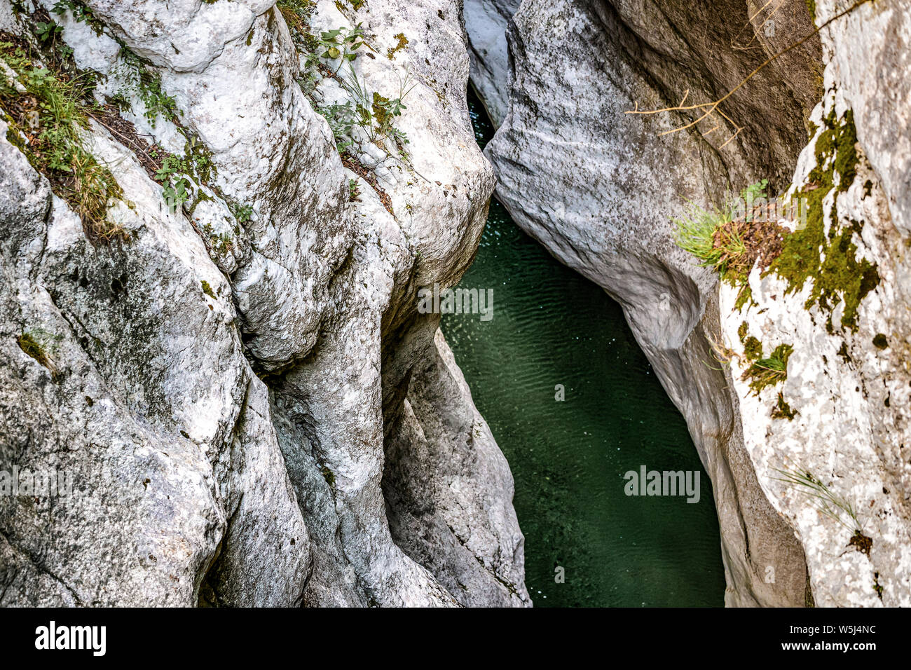 Italia Friuli Reserva Natural el torrent Cellina forraof Foto de stock