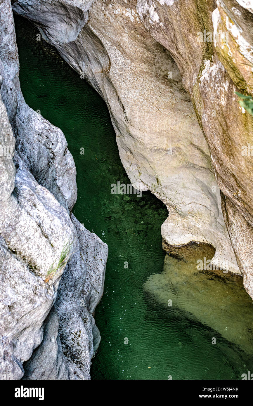 Italia Friuli Reserva Natural el torrent Cellina forraof Foto de stock