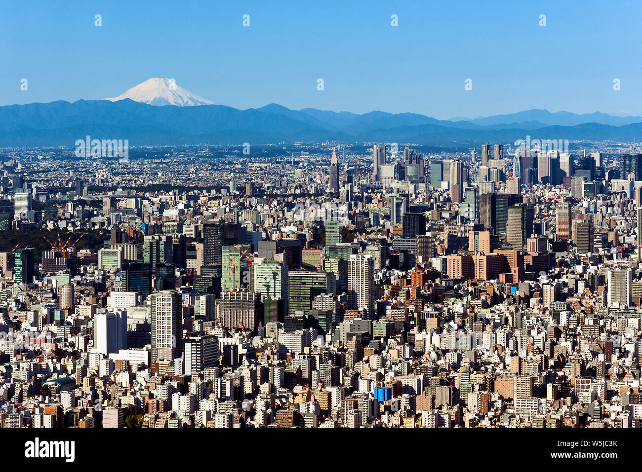 Mt. Fuji horizonte de Tokio Japón Paisaje Urbano Foto de stock