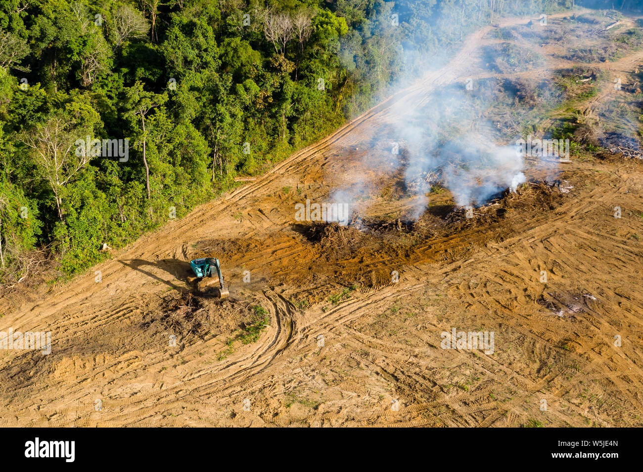 Drone vista aérea de la deforestación de los bosques tropicales para despejar tierras para las plantaciones Foto de stock