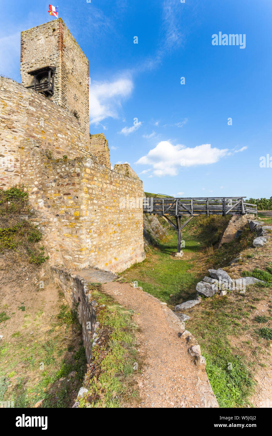 La ruina del castillo vino Katzenthal Wineck anterior aldea, Alsacia, Francia Foto de stock