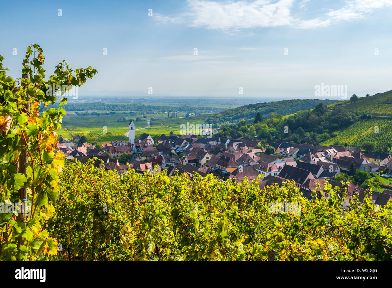Katzenthal aldea en medio de los Viñedos de Alsacia, Francia, estribaciones de los Vosgos Foto de stock