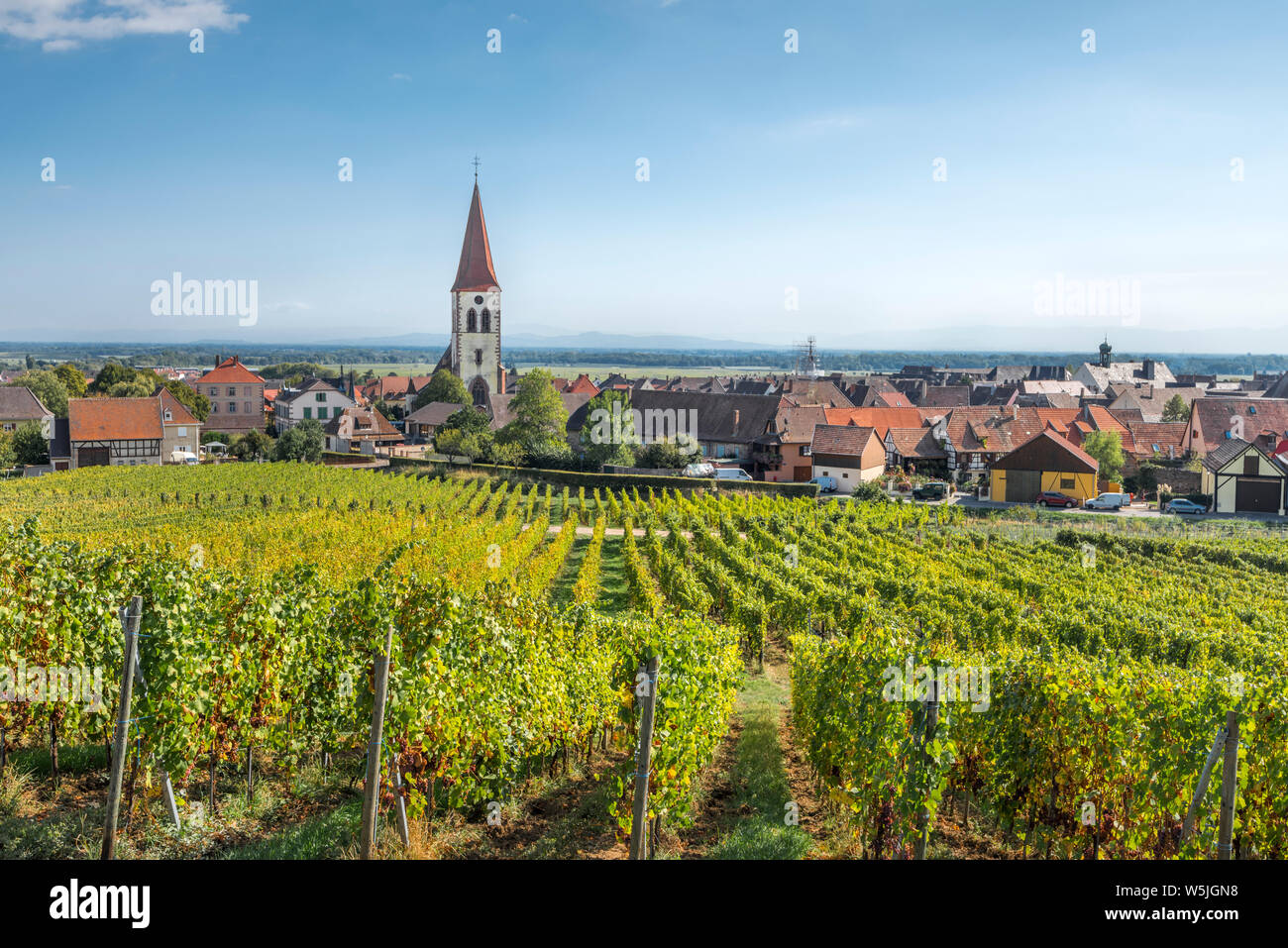 Panorama de la aldea, Ammerschwihr, La Ruta del Vino de Alsacia, Francia, vista desde el viñedo arriba Foto de stock
