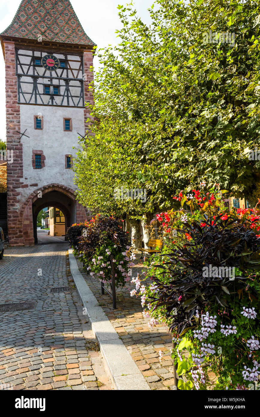 Puerta de la ciudad de la aldea Bergheim, La Ruta del Vino de Alsacia, Francia, cobblestone Lane y la torre del reloj Foto de stock