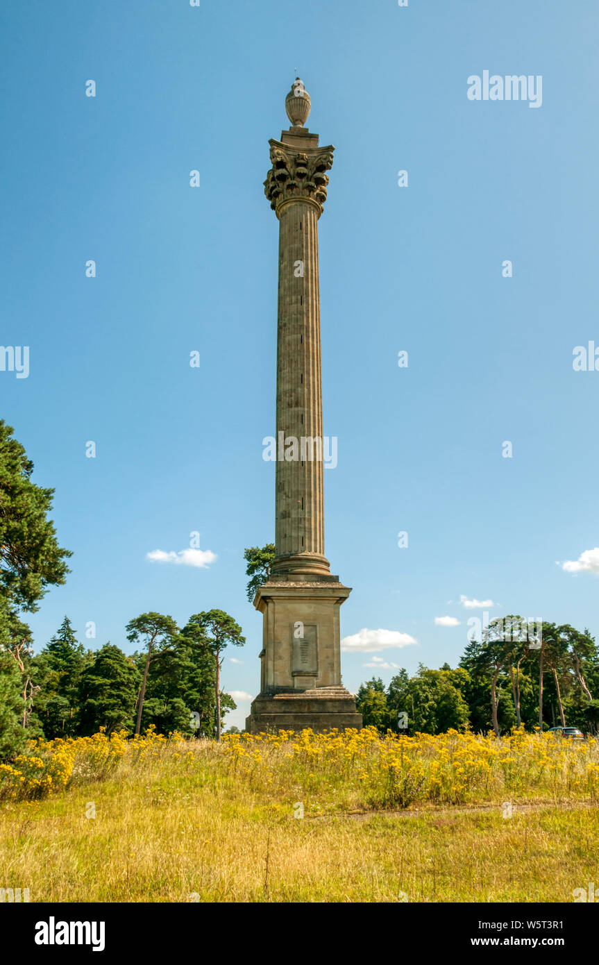 Elveden War Memorial en la intersección de Eriswell & Icklingham Elveden, parroquias de Breckland es una columna Corintia de 127 pies de alto. Foto de stock
