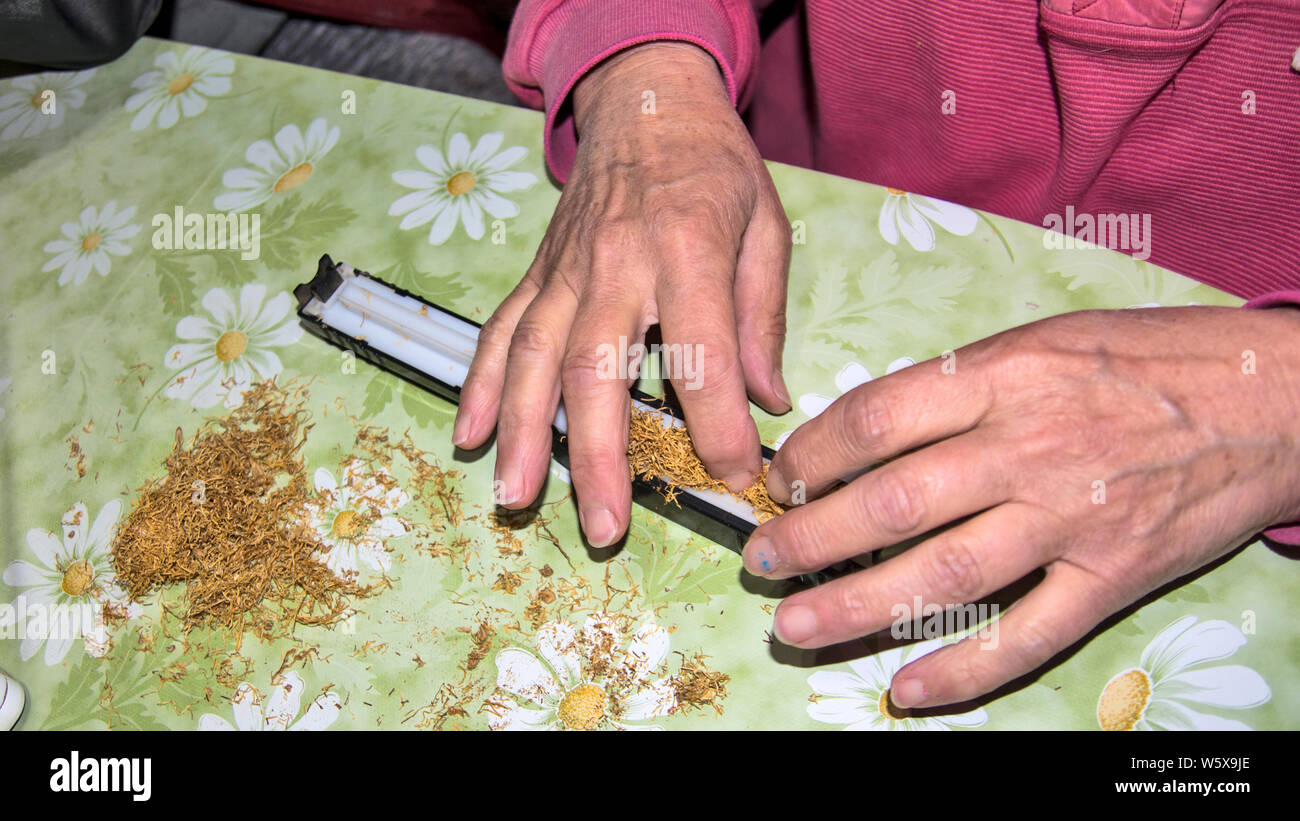 Hacer los cigarrillos y tabaco mediante rodillos hechos a mano sobre una mesa en casa. Foto de stock