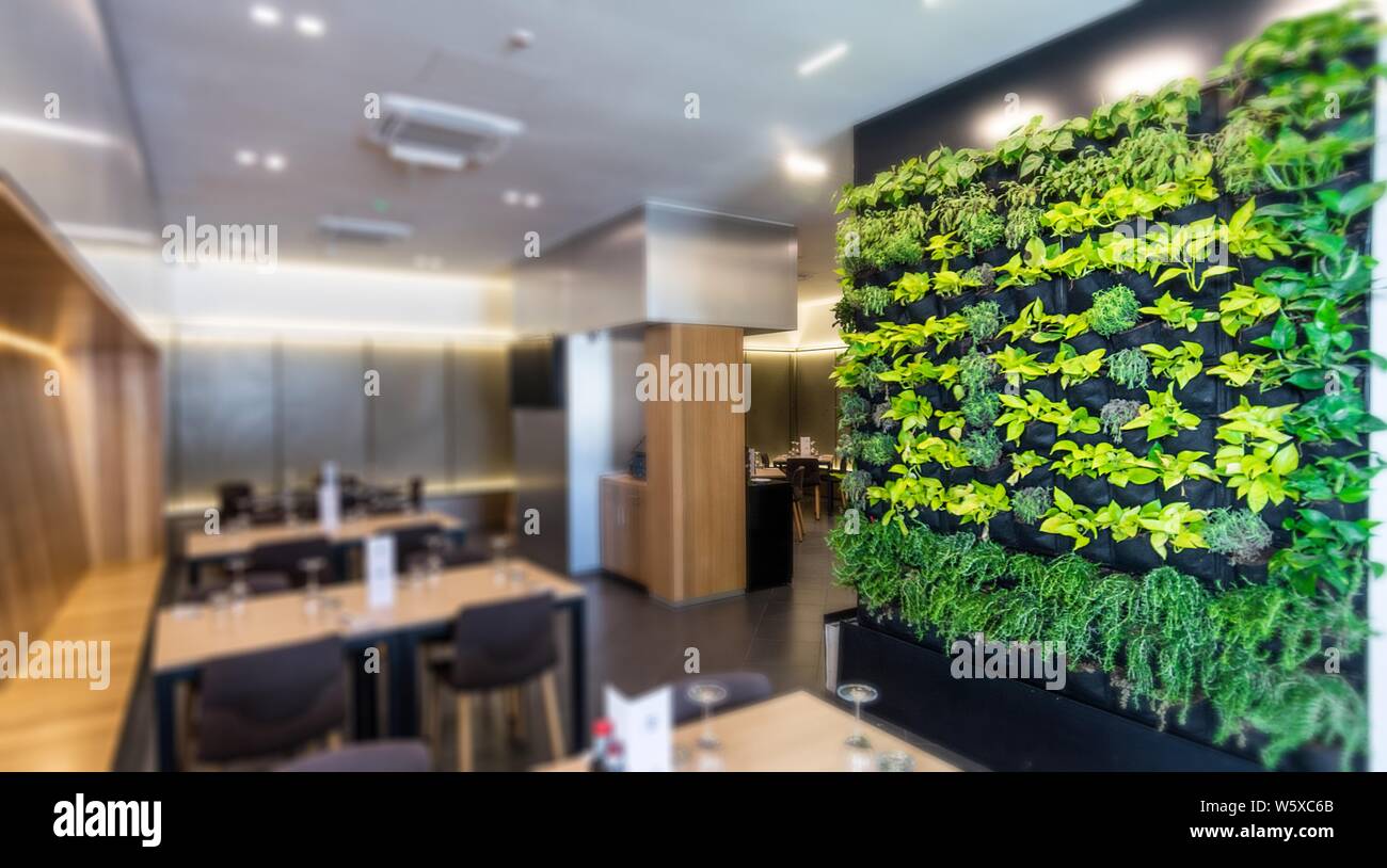 Viviendo pared verde, jardín vertical interior en un moderno restaurante. Foto de stock