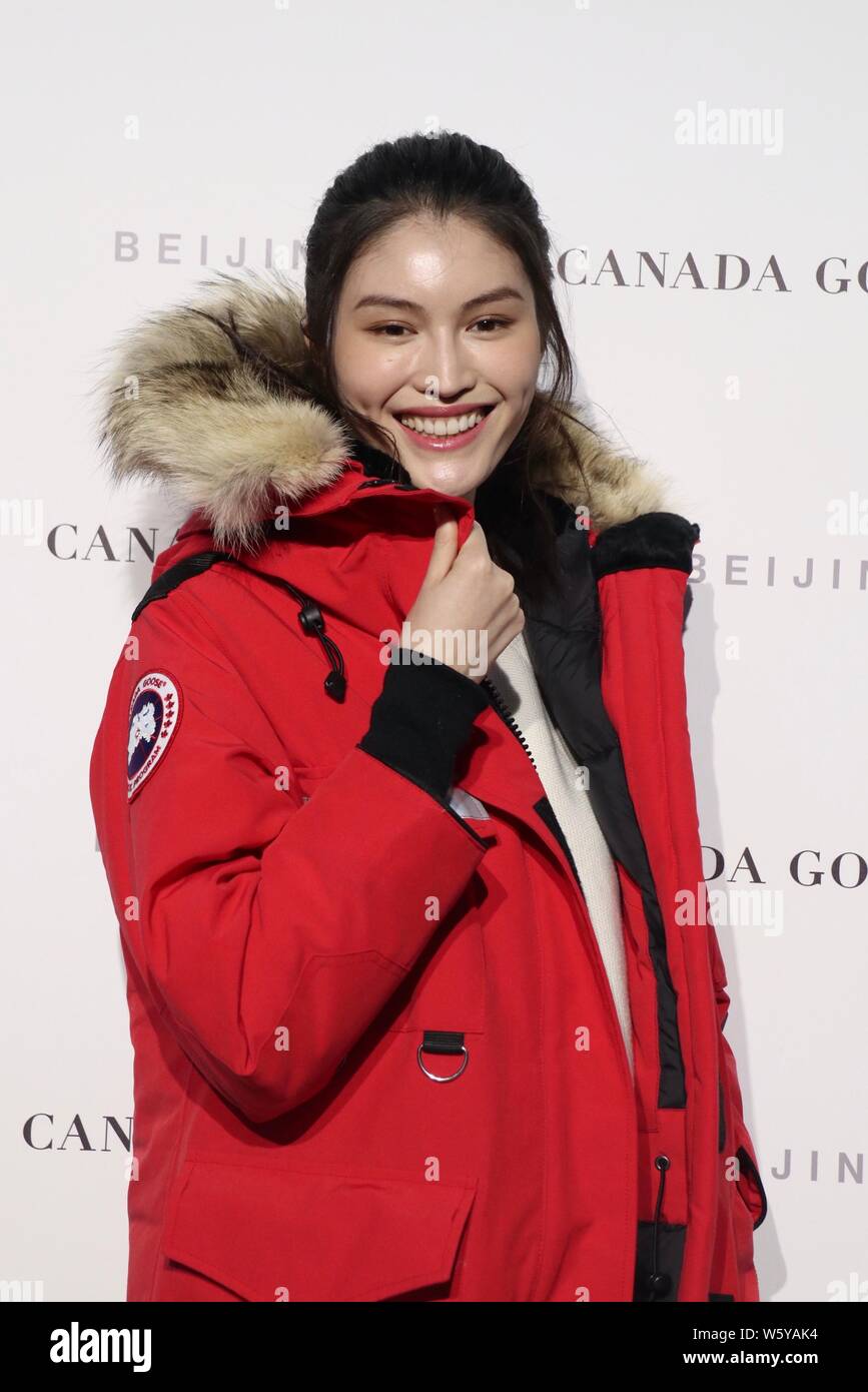 Canada goose arctic clearance program damen