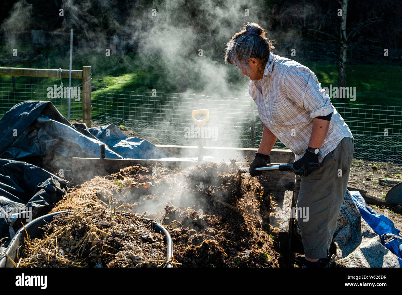 Un agricultor urbano muy activo y girando un montón de compost en caliente Foto de stock