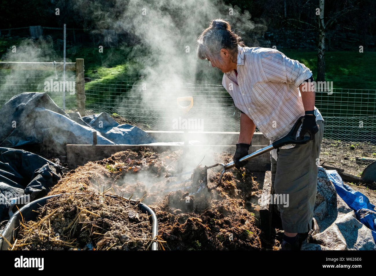 Un agricultor urbano muy activo y girando un montón de compost en caliente Foto de stock