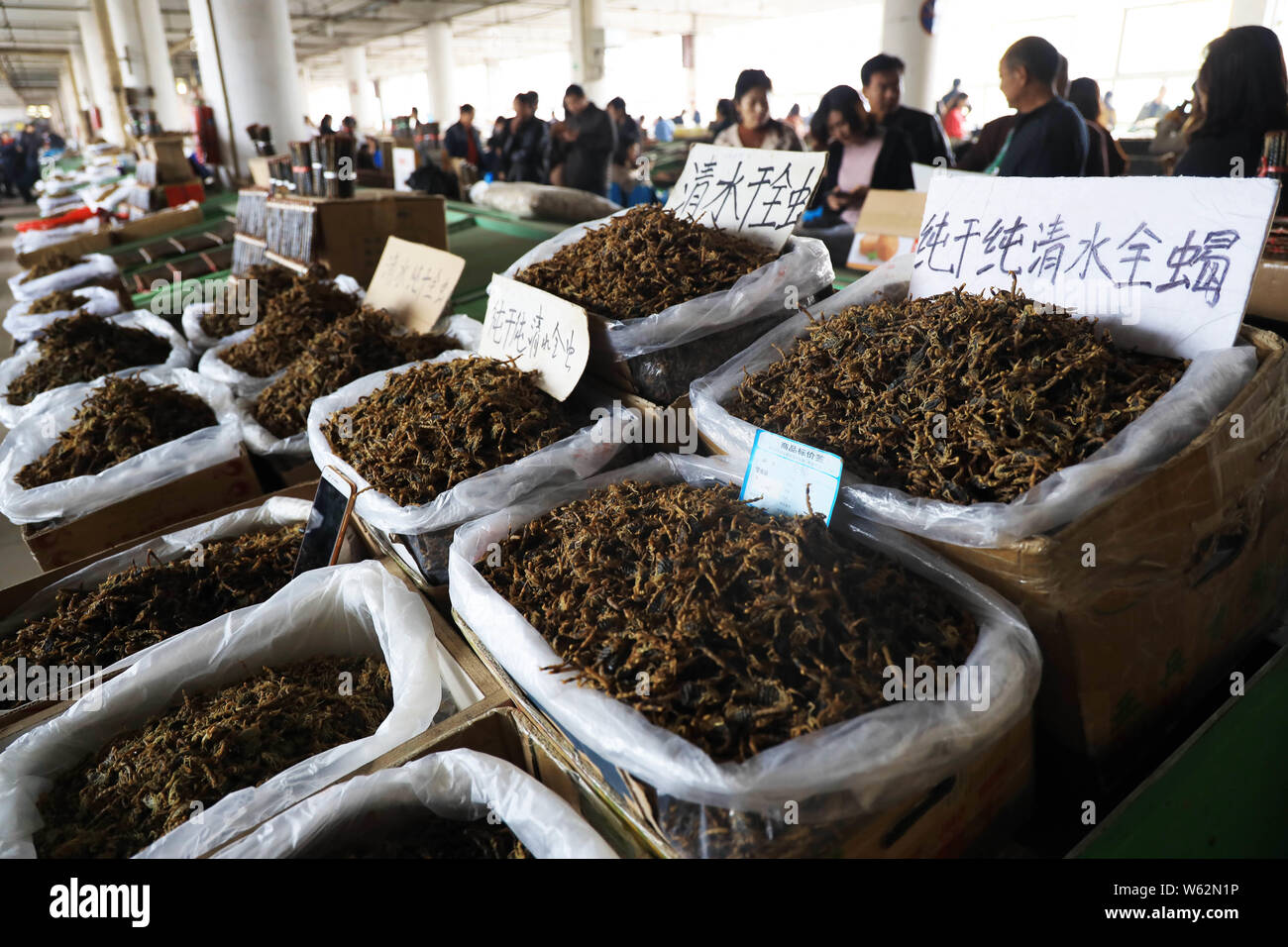 Clientes comprar medicinas tradicionales chinas (TCM) en China, el mayor  mercado de TCM, el Anguo mercado de medicina tradicional china, en la  ciudad de Anguo, Ba Fotografía de stock - Alamy