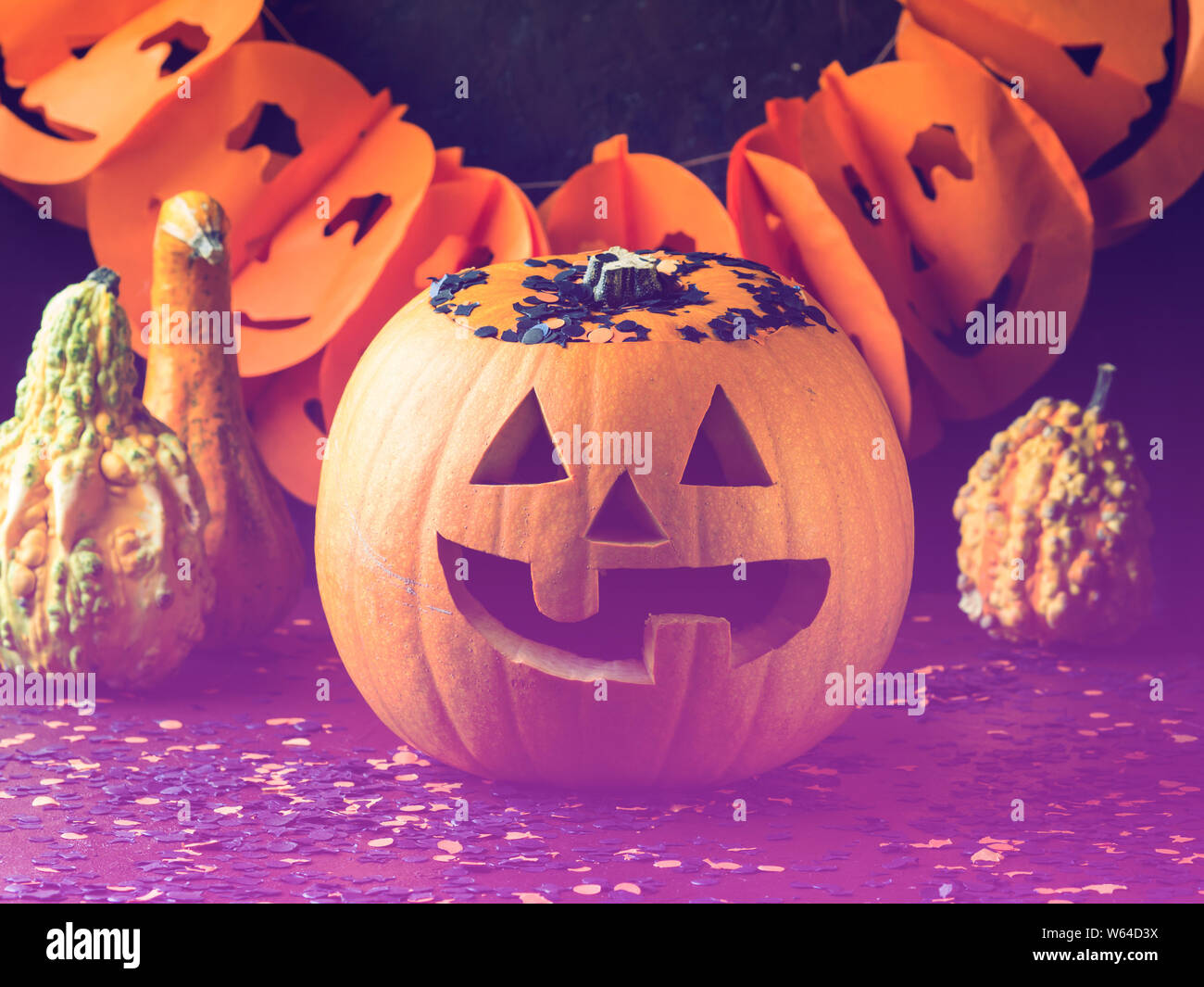 Halloween calabazas talladas y confeti. Vacaciones spooky fondo oscuro  bodegón, tono neón púrpura Fotografía de stock - Alamy