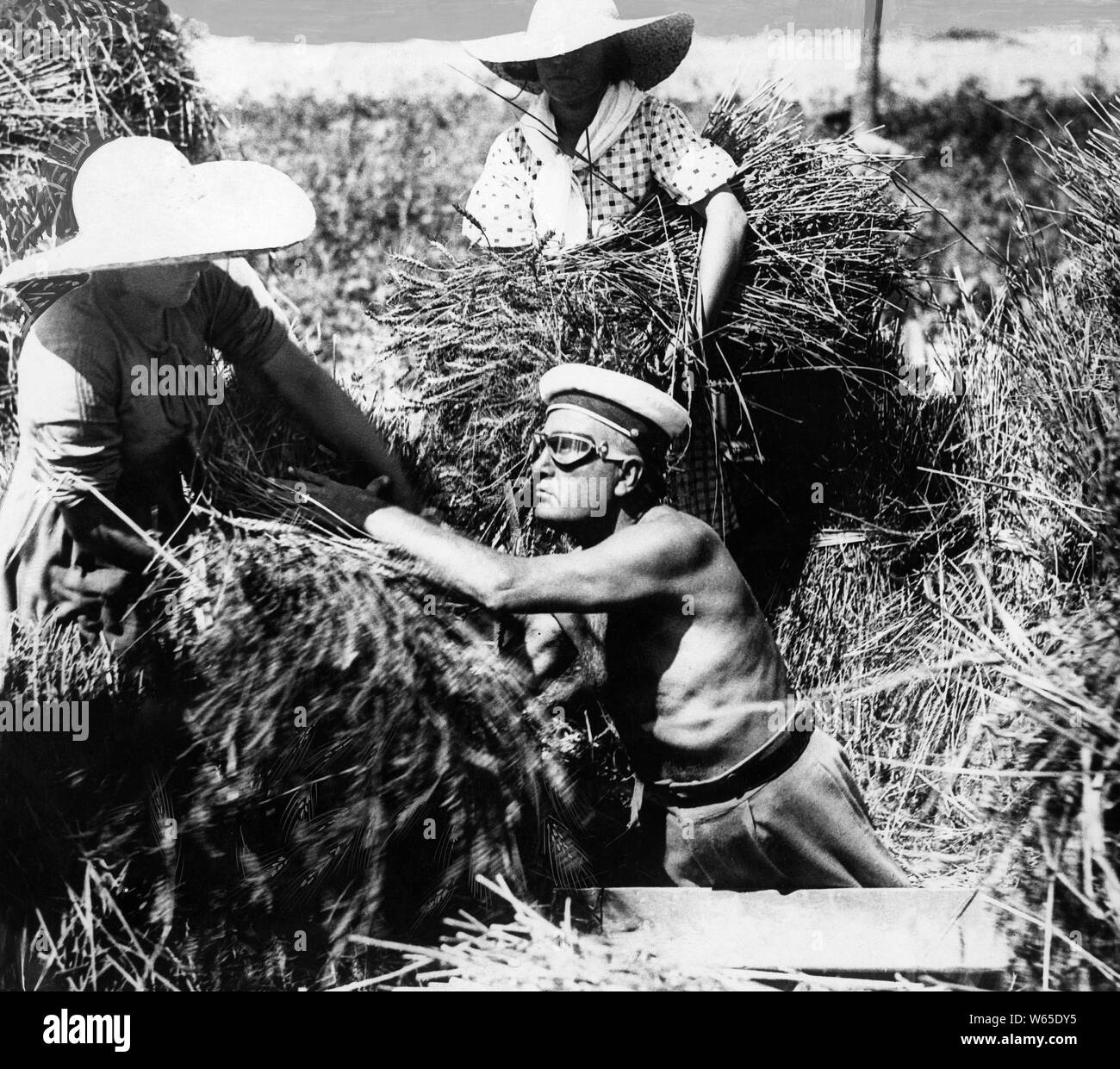 Servicio de reclamación de Pontine, Benito Mussolini durante la trilla de trigo en Sabaudia, 1934 Foto de stock