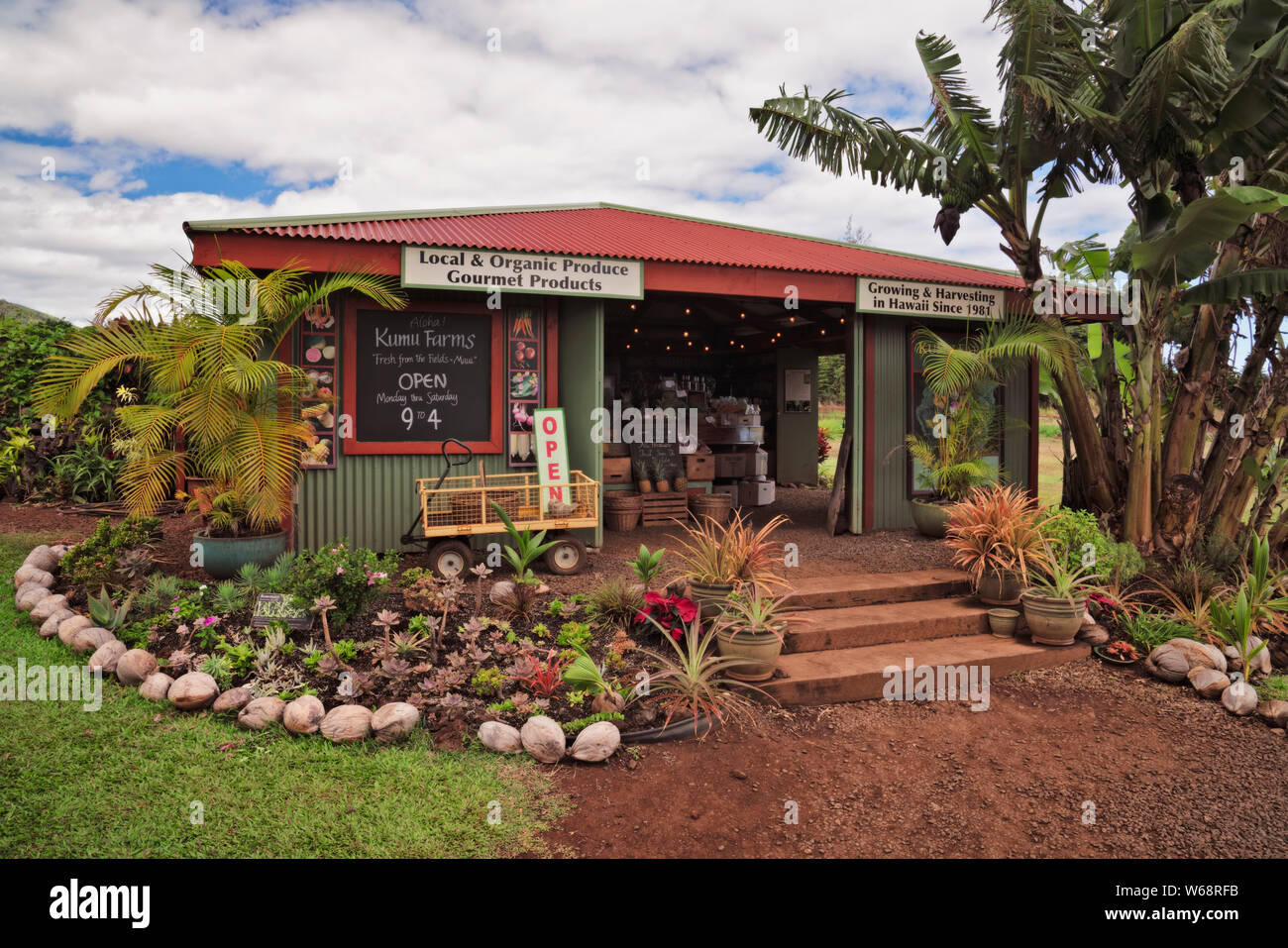 Uno de los muchos mercados del lado carretera vendiendo frutas y verduras locales en la isla de Maui, Hawai. Foto de stock