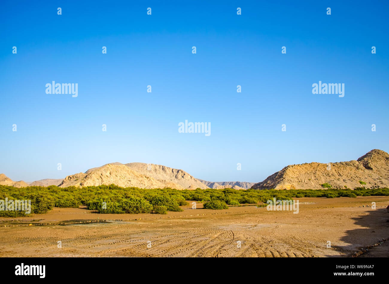 Pantano con Bush verde paisaje con montañas y un cielo azul claro. De Muscat, Omán. Foto de stock