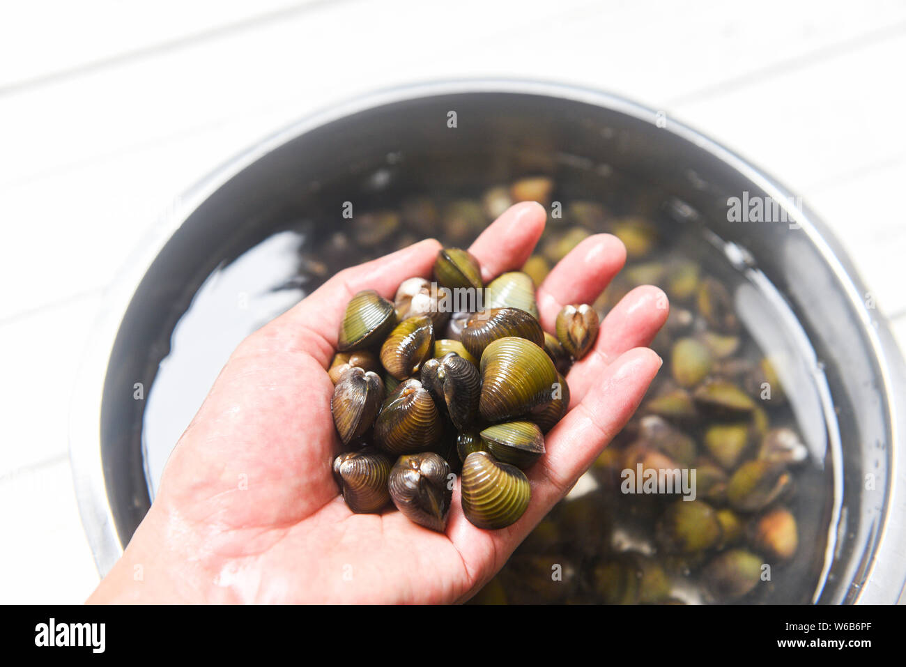 Shijimi marisco bivalvo de agua dulce tales como las almejas shell en mano Foto de stock