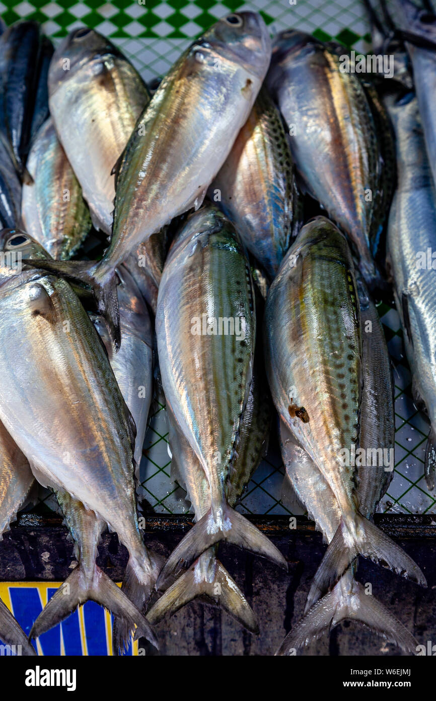 Pescado fresco para su venta en el mercado de carbono, en la Ciudad de Cebu, Cebu, Filipinas Foto de stock