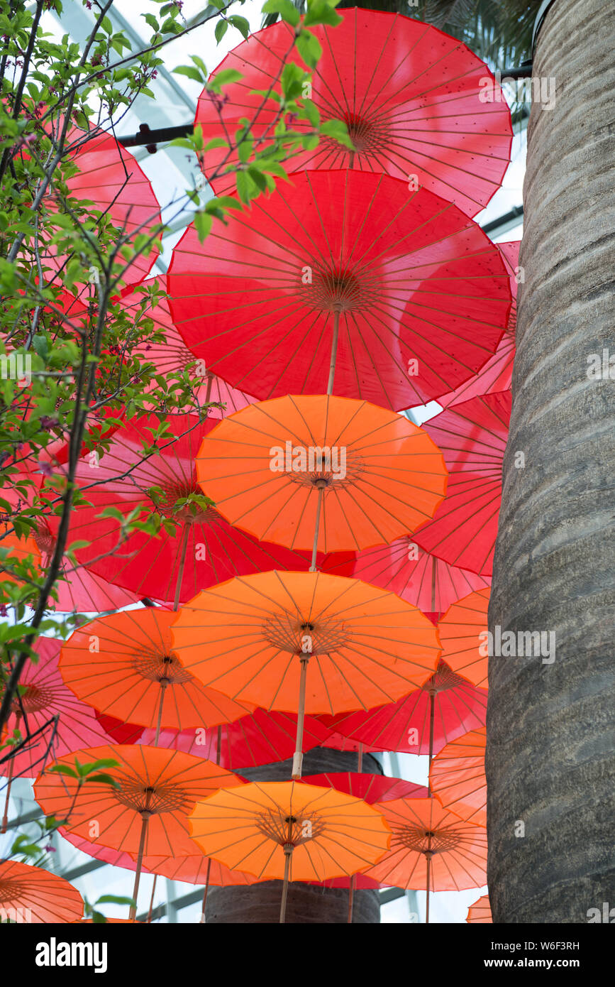 Paraguas chinos fotografías e imágenes de alta resolución - Alamy