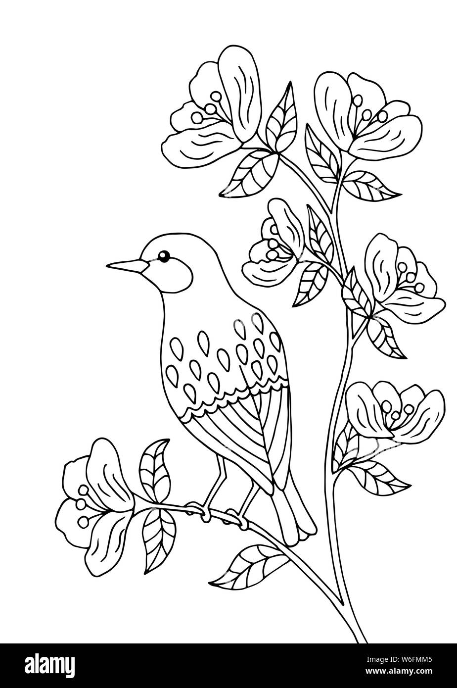 Pájaro sentado en una rama de un árbol en flor, páginas para colorear para  niños y adultos Imagen Vector de stock - Alamy