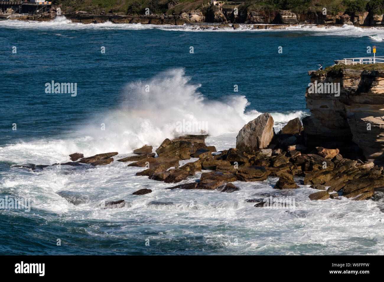 Olas altas smash en rocas a lo largo de la costa a los delfines punto cerca de Coogee en New South Wales, Australia Coogee Beach es una amplia bahía de arena, circular Foto de stock