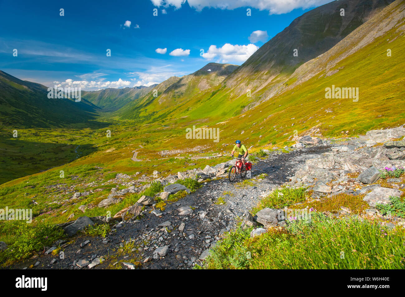 Un hombre monta su bicicleta de montaña en el valle de Palmer Road, cerca de esperanza, Alaska en un día soleado de verano, en el centro-sur de Alaska Foto de stock