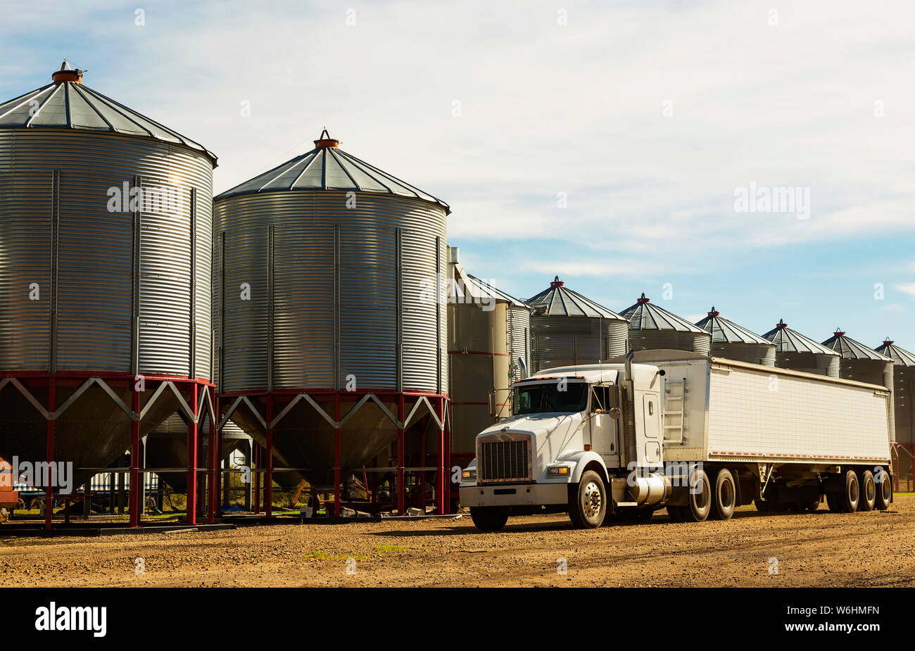 Un grano de un camión estacionado en la parte frontal de silos de metal durante la cosecha; Legal, Alberta, Canadá Foto de stock