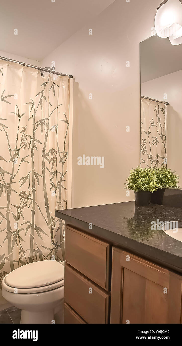 Bastidor vertical espejo tocador y armario Baño interior con pared beige y  piso de mosaico Fotografía de stock - Alamy