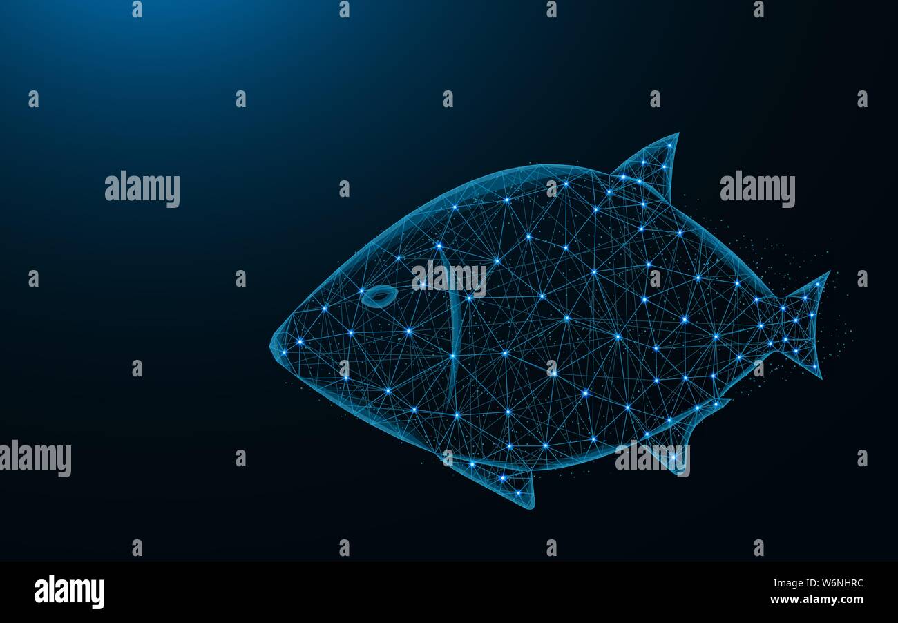 Pescado con bajo poli diseño, imagen geométrica abstracta de animales  acuáticos, mundo submarino mallas poligonales de malla ilustración  vectorial de puntos y línea Imagen Vector de stock - Alamy