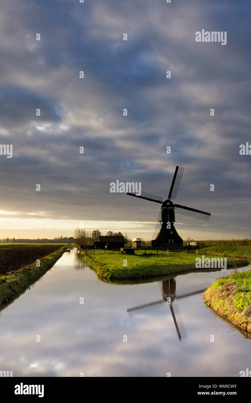 El molino de viento cerca de Hoornaar Scheijwijkse Foto de stock