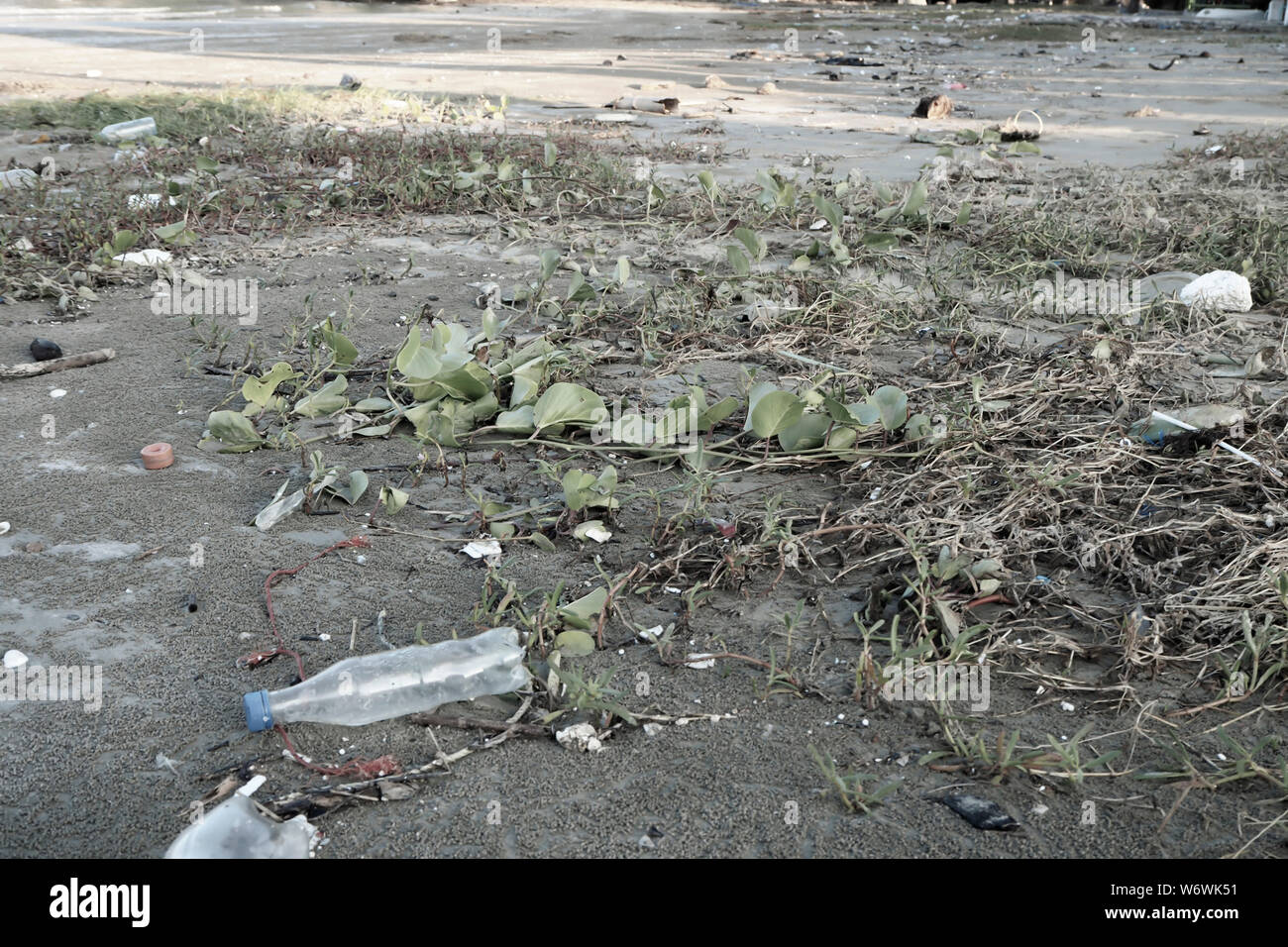Botellas de plástico para agua la contaminación en el océano (concepto de entorno). Botella de plástico en la playa. El plástico mata a nuestras criaturas marinas. Foto de stock