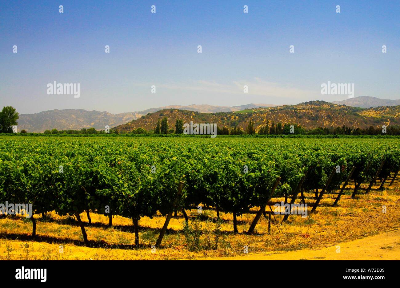 Valle central chile fotografías e imágenes de alta resolución - Alamy