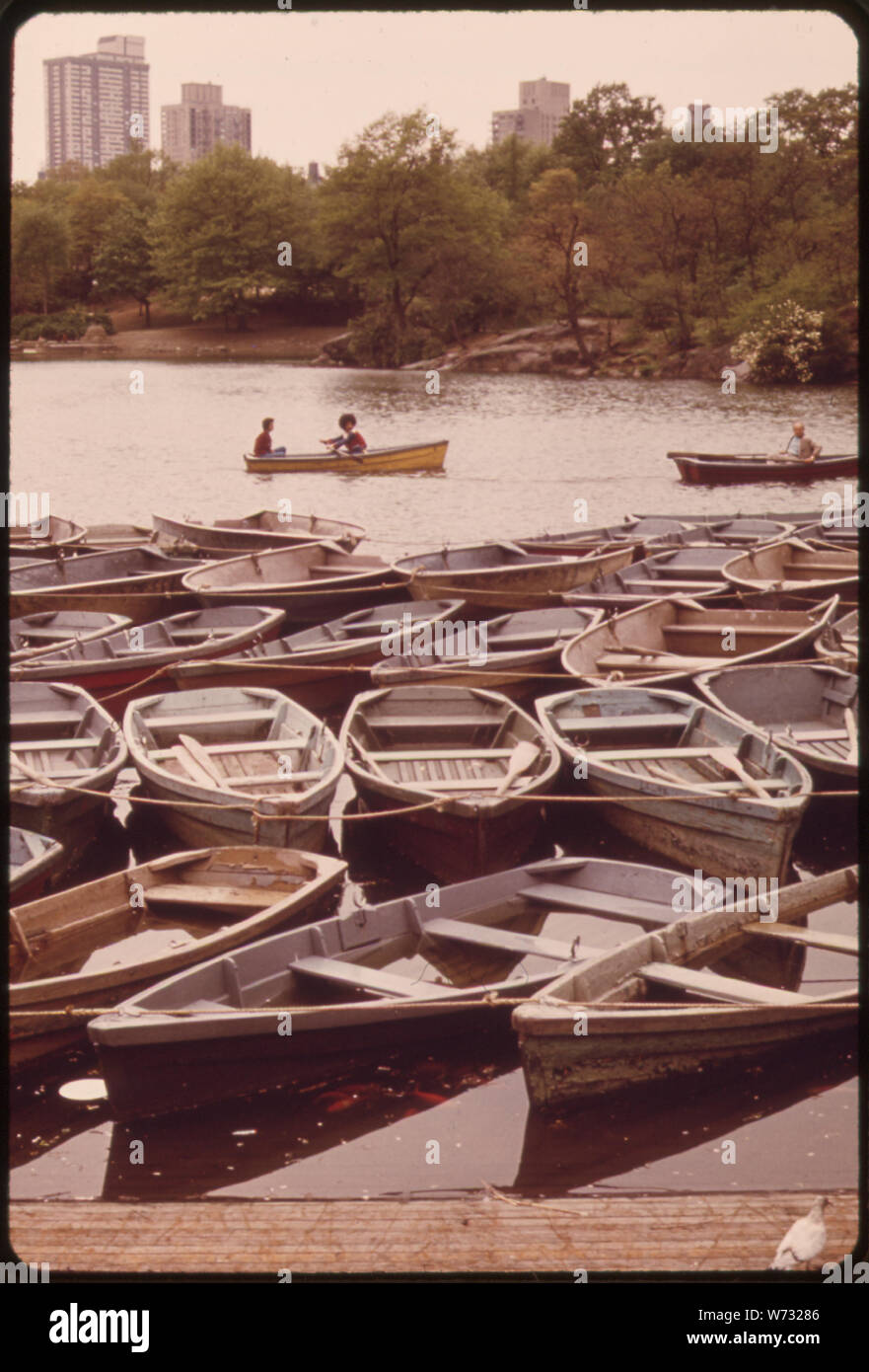 Botes de remo en el lago del Parque Central, uno de los varios cuerpos de agua que le dan al parque mucho de su variedad y encanto Foto de stock