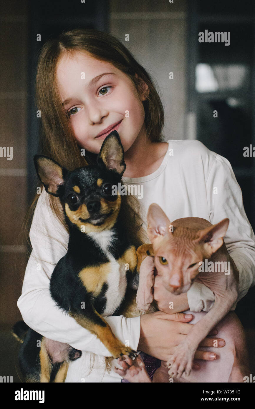 Nino Abrazando Un Gato Y Perro Hermoso Bebe Posee Sphinx Y Chihuahua En Sus Brazos La Chica Ama Los Animales Mucho El Cabello Largo Beige Glabro Ca Fotografia De Stock Alamy