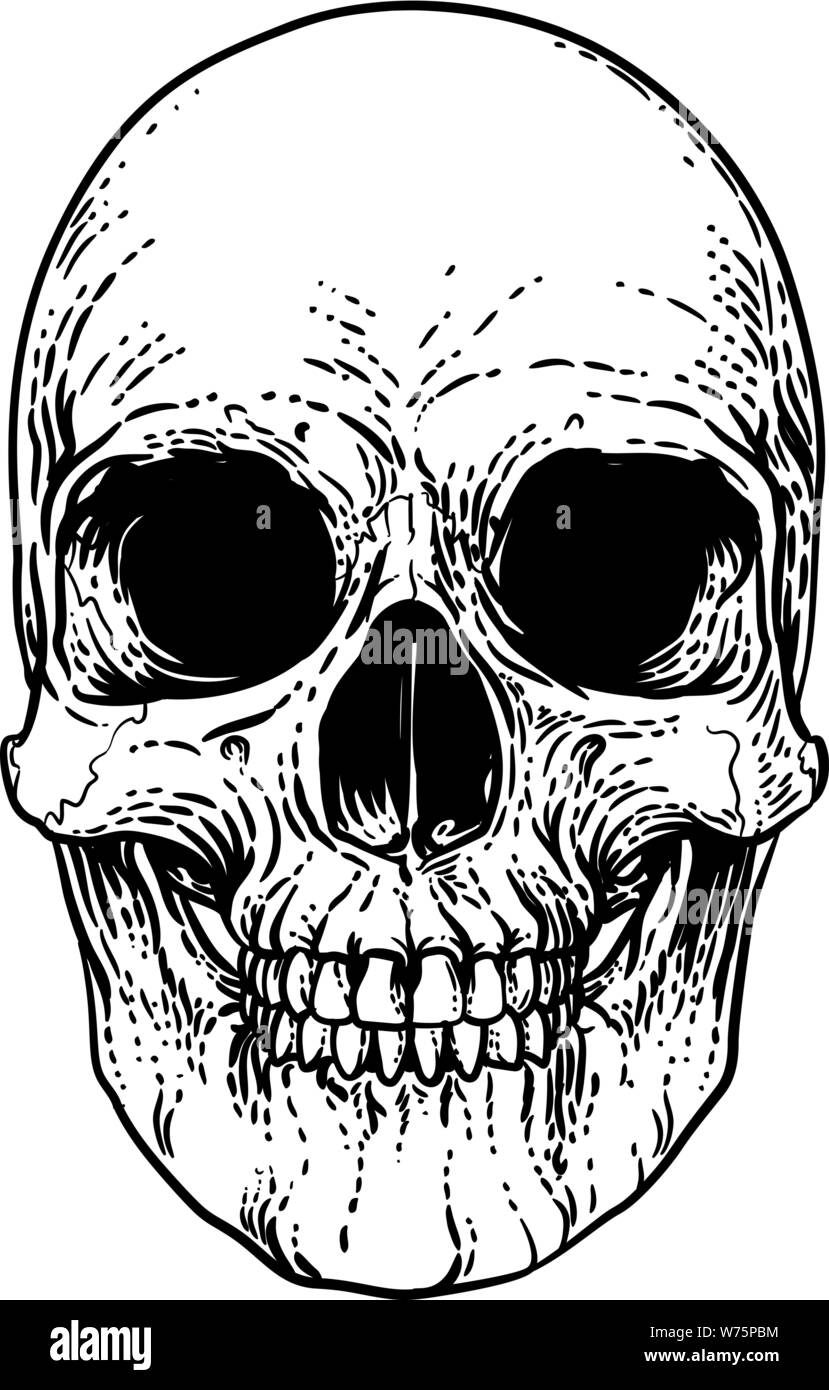 Cráneo Guadaña Vintage xilografía ilustración Ilustración del Vector