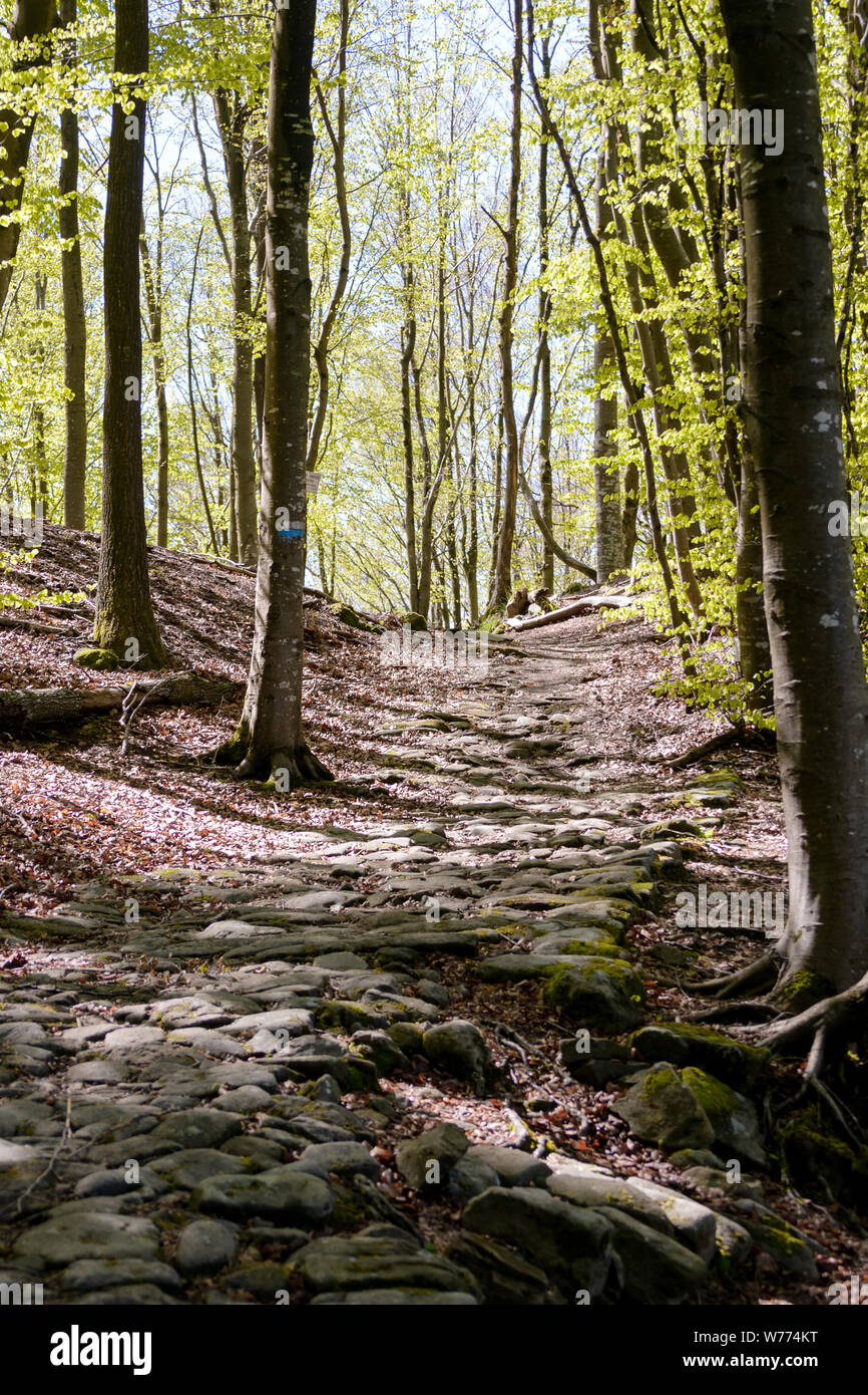 Las ruinas de la antigua carretera romana "Flaminia militare" entre