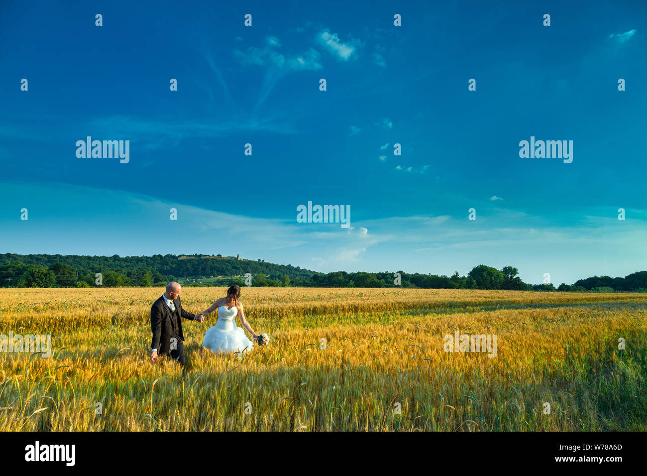 Pareja romántica en el día de la boda en un campo de trigo, símbolo de la fertilidad Foto de stock