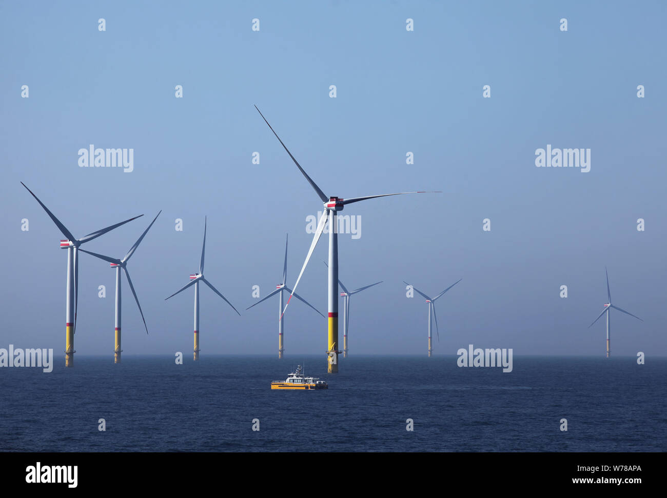 La energía eólica off-shore. El Arkona energía verde parque eólico offshore en el Mar Báltico. Foto de stock